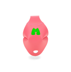 Beach Bunny Roller Skates - Watermelon